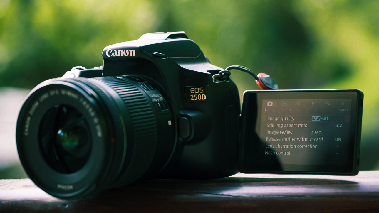 Canon 250d budget DSLR