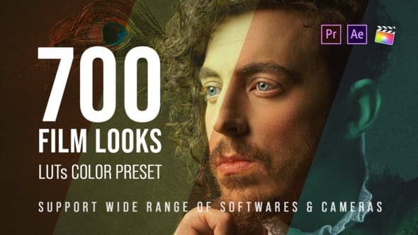 700 Color luts for Premiere pro and After Effect